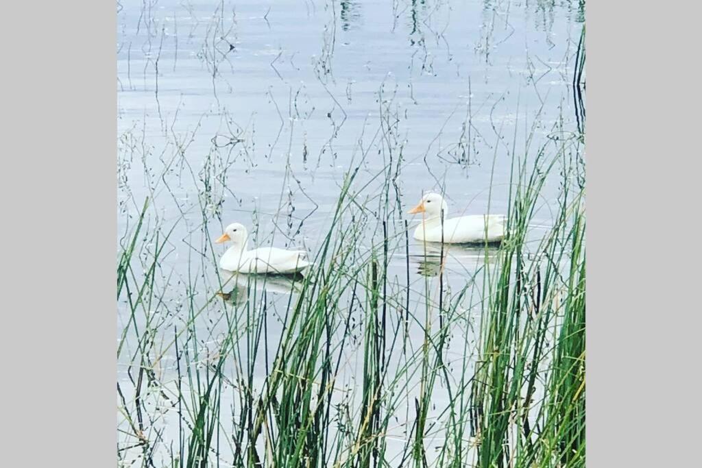 Sommarstugan Aspered Ngoại thất bức ảnh